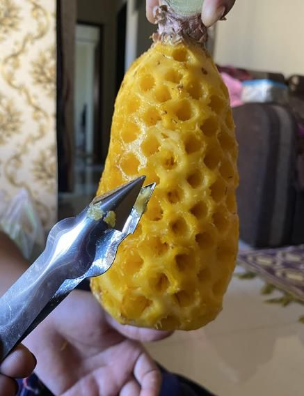 Stainless Steel Pineapple Eye Remover - ALSO FOR TOMATOES. GARLIC, ONION ETC