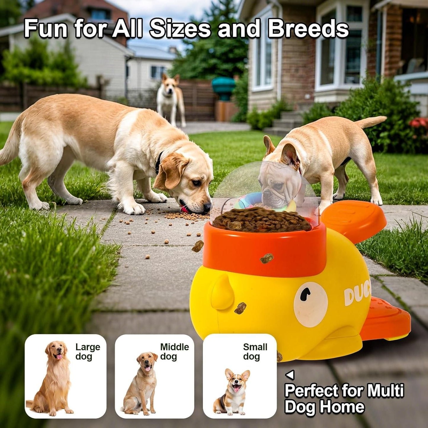 Playful Pet Feeder - Pets will love this