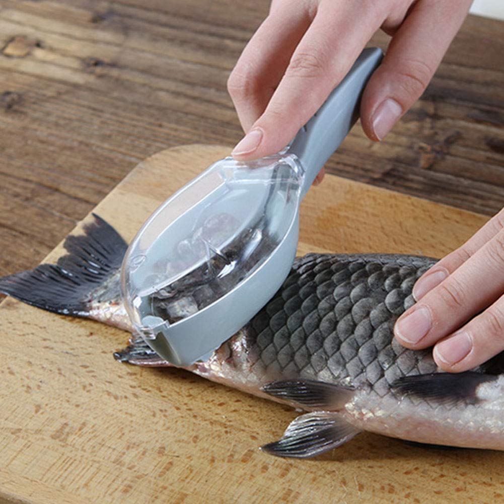Fish Scale Scraper Skin Peeler Fish Tools - SCRAPES & COLLECTS